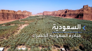 فيديو مبادرة السعودية الخضراء: كيف تتحول الصحراء إلى واحات غناء في أكبر مشروع بيئي عالمي؟