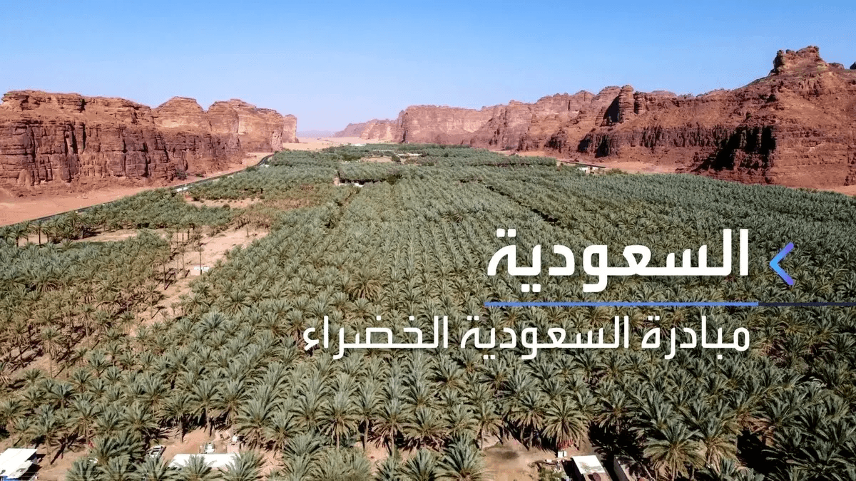 فيديو مبادرة السعودية الخضراء: كيف تتحول الصحراء إلى واحات غناء في أكبر مشروع بيئي عالمي؟