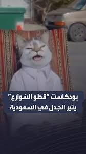 بودكاست “قطو الشوارع”: صرخة من الأزقة تقتحم عالم الأثير.. هل يغير وعينا تجاه الحيوان؟