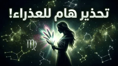 توقعات برج العذراء اليوم 14 أبريل 2026.. ذكاء تحليلي يفتح أبواب الفرص المالية والمهنية