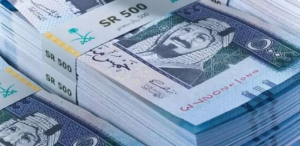 سعر الفراخ البيضاء اليوم.. تحديث حي لأسعار الدواجن والبيض في الأسواق والمزارع